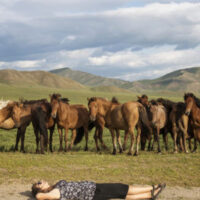 2020.01.18 ̶ wernisaż wystawy Karoliny Jonderko „If I lay here”, w  Mobilnej Galerii Fotografii AOF. Plac przed Centrum Kultury w Lublinie, ul. Peowiaków 12, godz. 12.30.