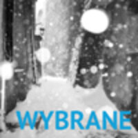 2016.02.13. godz. 12:00 – Wernisaż wystawy fotografii Olexandry Radchenko pt. „Wybrane”